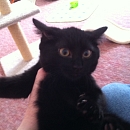 Lucy
