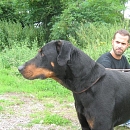 Samy