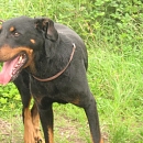 Samy