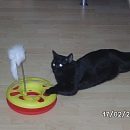 Lio