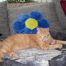 Ricardo 1