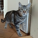 Max