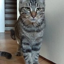 Max