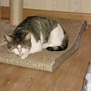 Henry