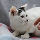 Casper