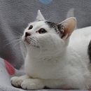 Casper