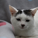 Casper