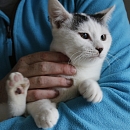 Casper