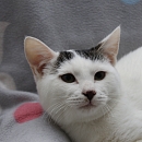 Casper