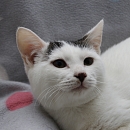 Casper