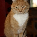 Charline
