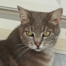 Mali