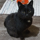 Maurice im Juni 2024