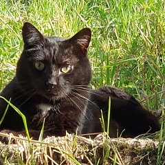 Maurice - hat sich super entwickelt