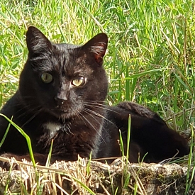 Maurice - hat sich super entwickelt