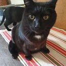 Ein aktueller Schnappschuss von Maurice im September 2025