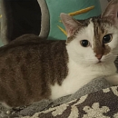 Mumu