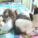 Arthur und Perle