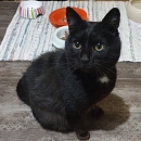 Maurice im Juni 2024
