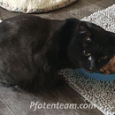Maurice - hat sich so toll entwickelt