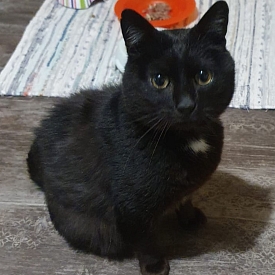 Maurice - hat sich so toll entwickelt