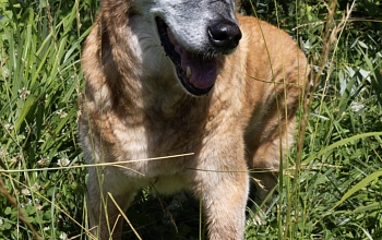 Farok hat seinen 16. Geburtstag gefeiert
