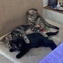 Mira & Mausi