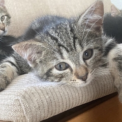Mira & Mausi