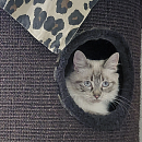 Mila - sucht Einzelplatz