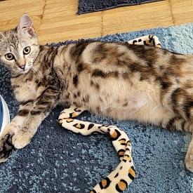 Milo & Masha