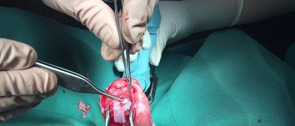 SPENDENAURUF ERFOLGREICH BEENDET! - Fundkater Merlin - sich selbst überlassen mit einer schmerzhaften Entzündung im Knie. Ohne Hilfe wäre er früher oder später an der Infektion gestorben