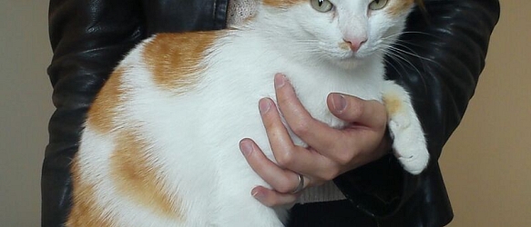 Julius - unser kranker Tropf braucht nochmals Eure Hilfe!