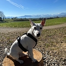 Kiro