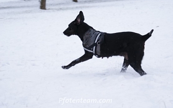 Reglisse die Schneekönigin!