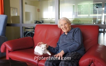 Besondere F(e)lle: Kalinka - Katze mit HERZ!