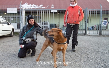 Benny besucht uns im Tierheim