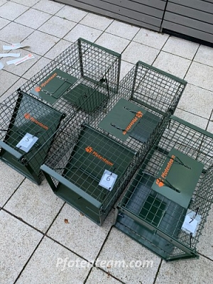 Wir haben unsere Katzenfallen-Flotte vergrössert! Denn es gibt wieder überall ungewollte Katzenbabies.