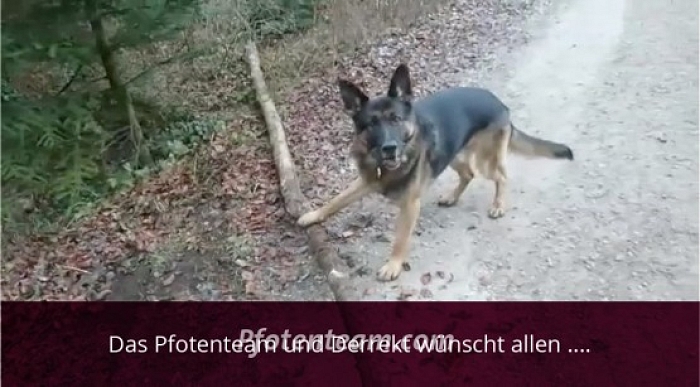 Die besten Wünsche zum Neuen Jahr allen Zwei- und Vierbeinern!