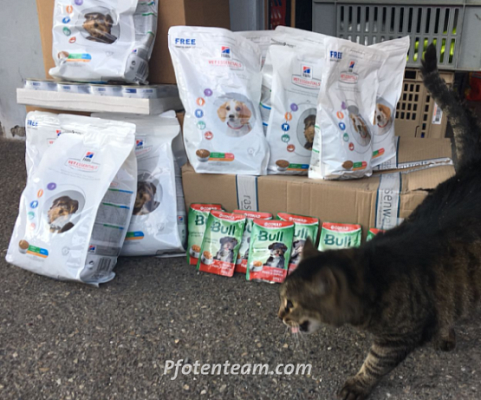 Futterspenden für die Hunde der Obdachlosen in Mulhouse - Trocken- und Nassfutter für die treuen Begleiter auf vier Pfoten