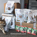 Futterspenden für die Hunde der Obdachlosen in Mulhouse - Trocken- und Nassfutter für die treuen Begleiter auf vier Pfoten