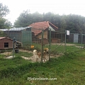 Auch dieses Jahr wieder: Futter- und Sachspendensammlung für das Tierheim in Vranov, Ost-Slowakei