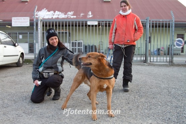 Benny besucht uns im Tierheim