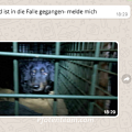 Unsere Hundefalle erfolgreich im Einsatz