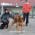 Benny besucht uns im Tierheim