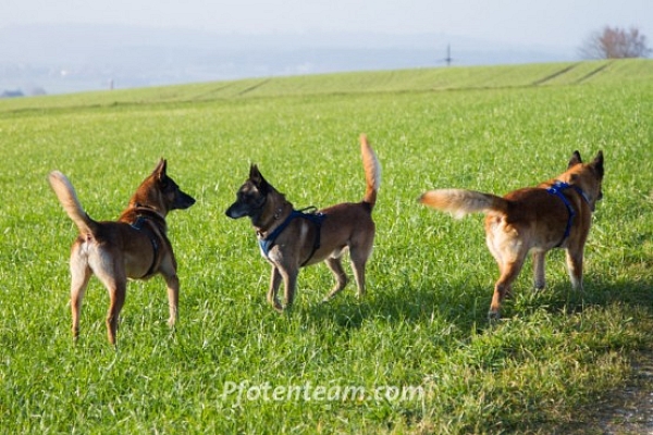 Das Treffen der Giganten (in Rente)