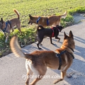 Das Treffen der Giganten (in Rente)