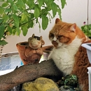 Julio und Moritz fühlen sich wohl im Neuen Daheim