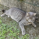 Squat- sucht Einzelplatz mit Freigang