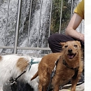 Loki - sucht Logenplatz als Einzelprinz