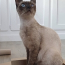  Lisa - sucht Einzelplatz